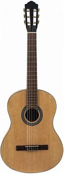 Flight C-100 NA 4/4 Классическая гитара.